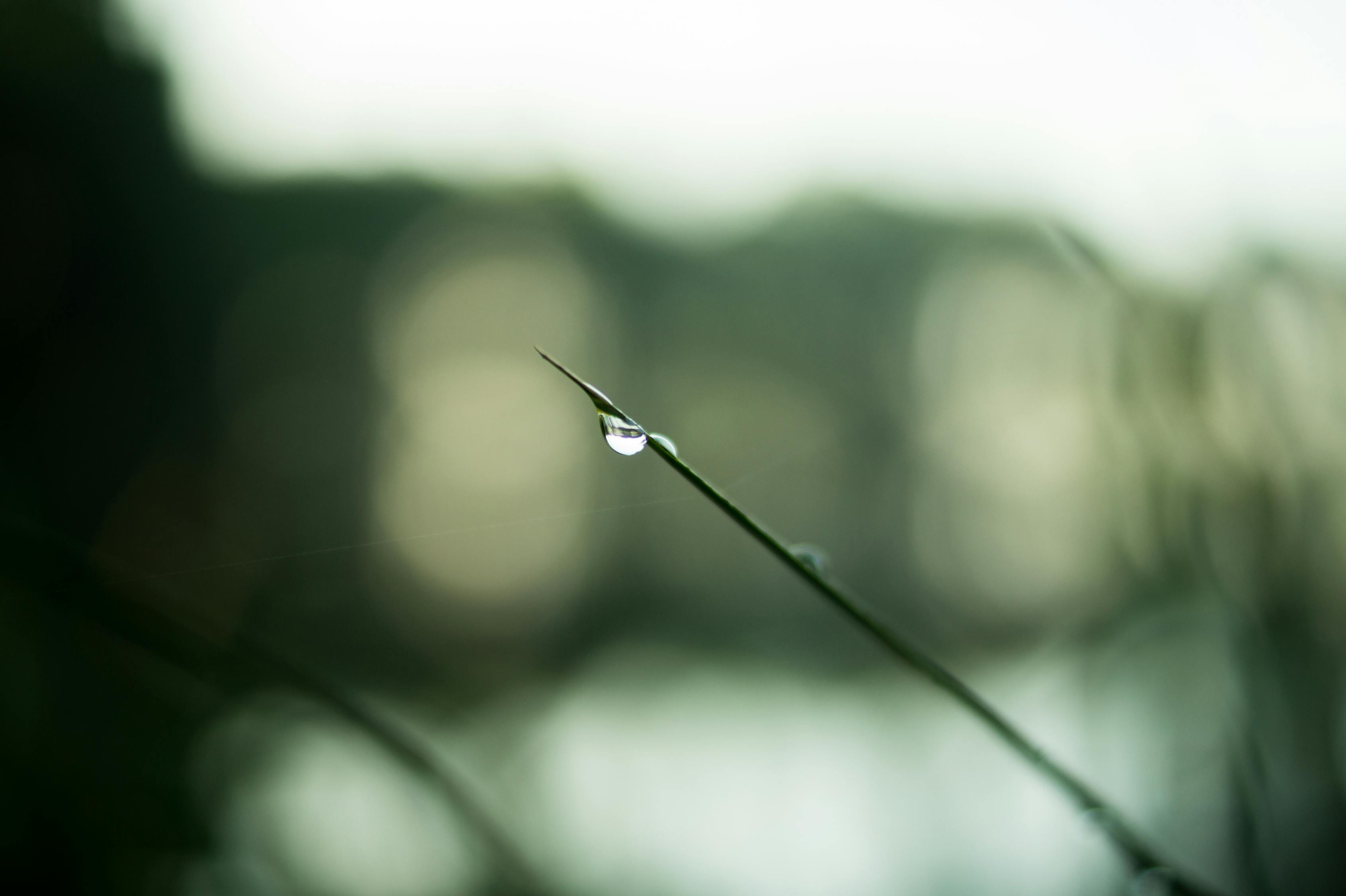 谷雨生机，大自然汉字下的生命律动与时事新闻