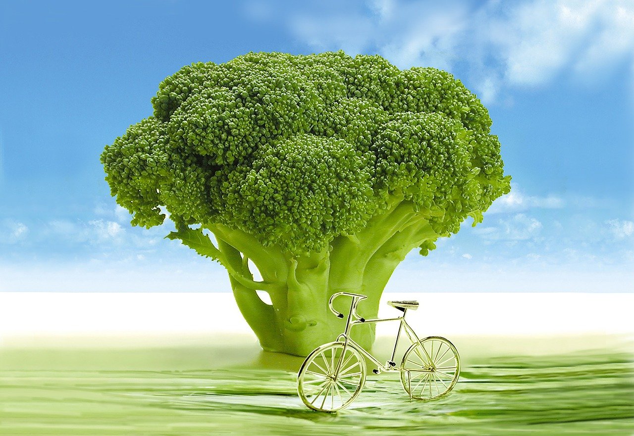 管家婆特一肖必出特一肖,管家婆一肖一码最准100%你了解过吗;值得深究的历史事件、最佳解释落实