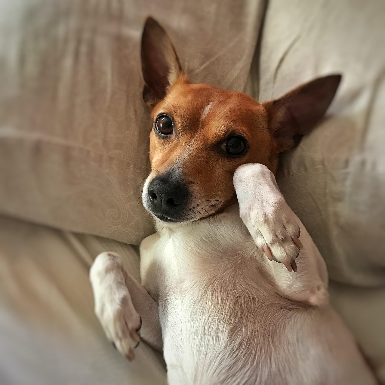 你会感觉被冒犯吗？